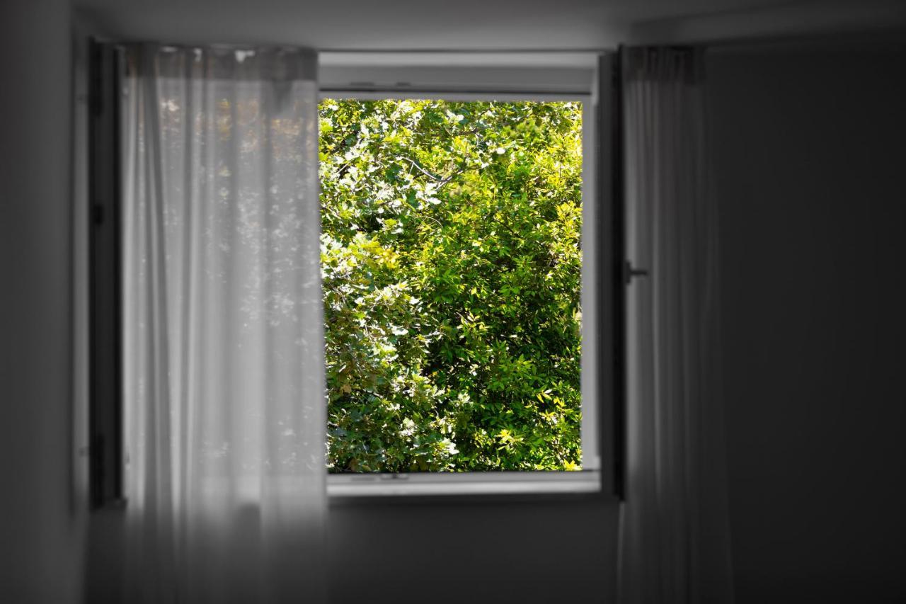 Apartment Fani With Free Private Parking 杜布罗夫尼克 外观 照片